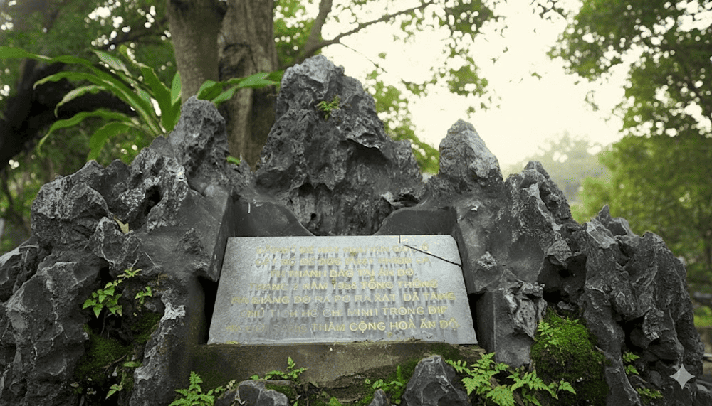 C&acirc;y bồ đề l&agrave; minh chứng cho t&igrave;nh hữu nghị l&acirc;u đời giữa Việt Nam v&agrave; Ấn Độ